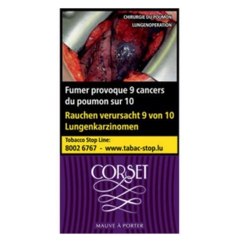 Corset Mauve 1 Corset Mauve