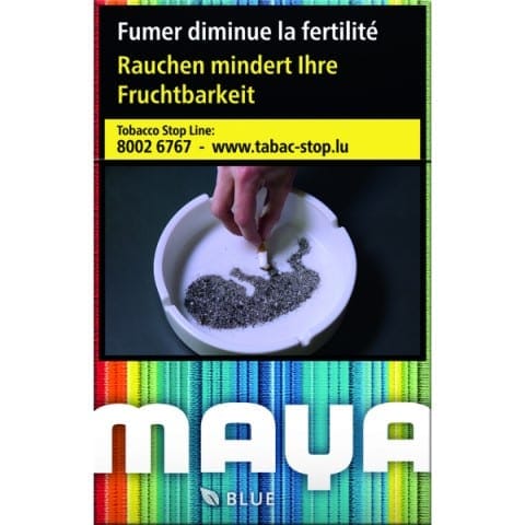 Maya Bleue 1 Maya Bleue