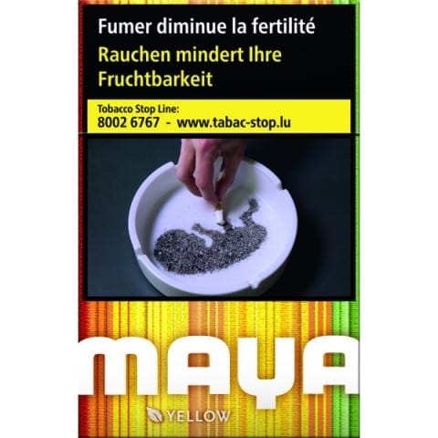 Maya Jaune 1 Maya Jaune